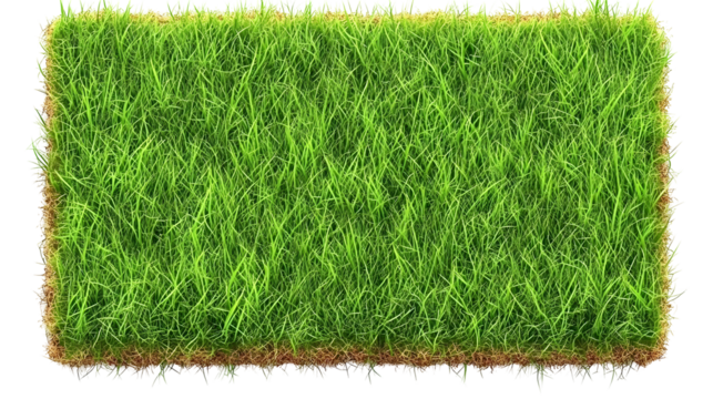 Realistic Green Grass Texture Background Isolated Illustration