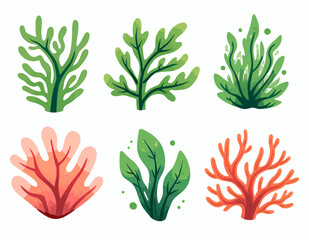 Cartoon seaweed and coral set on white background