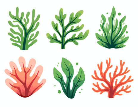 Cartoon seaweed and coral set on white background