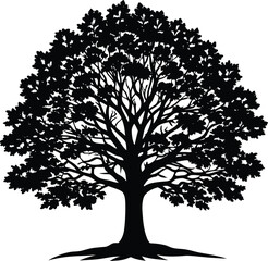 Obraz premium oak tree black and white silhouette vector design