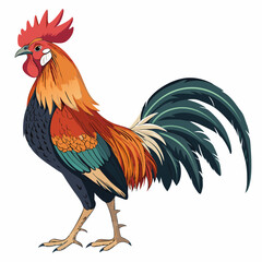 Create a bold, vector illustration of a Sabung Ayam rooster, emphasizing strong lines and vibrant plumage.  Show detail in comb, wattles, and feathers.