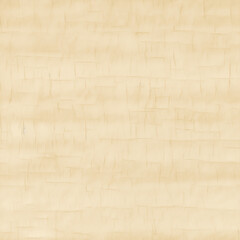 Fototapeta premium vintage paper texture