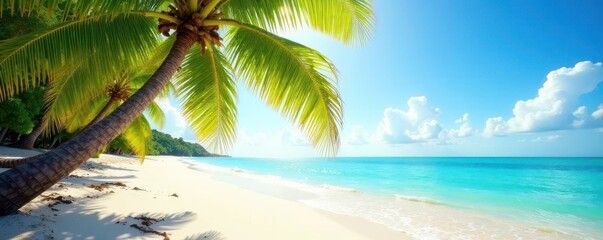 Fototapeta premium Sun-drenched palms arch over pristine beach, gentle waves, waves, vibrant, sky