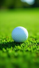 Fototapeta premium Golf ball rests on perfectly manicured fairway grass, lush, texture