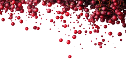 Clustered, Falling Red Berries