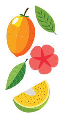 Mango Fruit Illustration with Flower and Leaves, Isolated Vector Design