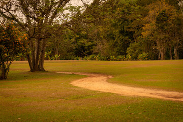 path in the park
