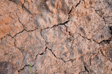 Top view cracked dry ground texture. Ecology and environment concept.