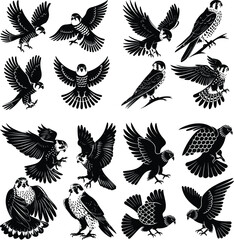 Flying Falcon Vector | Predator Bird Silhouette Design Falcon Silhouette Set | Fast Bird of Prey Vector Icons