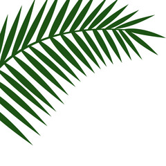 Fototapeta premium Palm Leave Corner