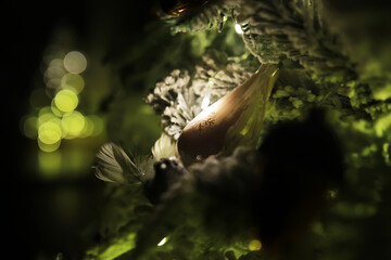 Cozy Christmas Tree Close-Up with Warm Lights and Frosted Ornaments