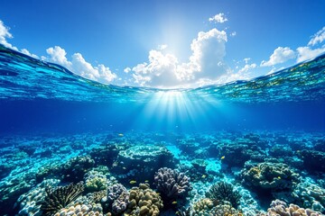 Naklejka premium Stunning underwater coral reef landscape with sunlight filtering through clear ocean water.