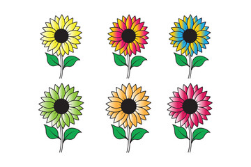 Sunflower vector set 