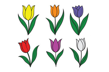 vector illustration of tulips