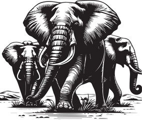 Elephant Vector Black and White