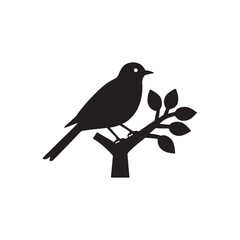 bird on a branch