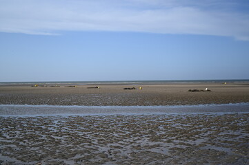 Atlantic Ocean low tide with a distant lighthouse and wide sandy shoreline under a clear blue sky. Calm coastal landscape and natural tidal scenery.