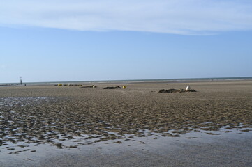 Atlantic Ocean low tide with a distant lighthouse and wide sandy shoreline under a clear blue sky. Calm coastal landscape and natural tidal scenery.