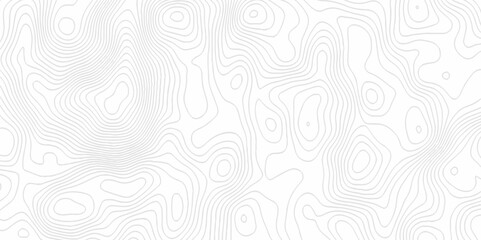 White topography topology vector white background fresh contour map texture. white seamless pattern Abstract background with a wave Topography and geography map grid abstract backdrop.