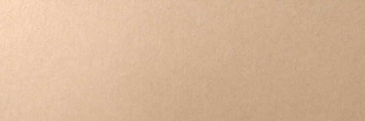 Texture of old organic cardboard, beige paper, background for design. 