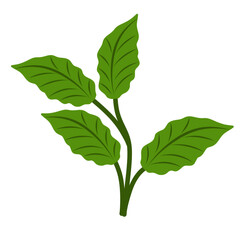 Illustration of green leaves 