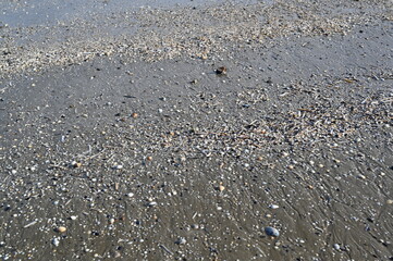 Clear shallow water of the Atlantic Ocean during low tide on the French coast. Sand ripples under transparent water creating natural texture and marine background.