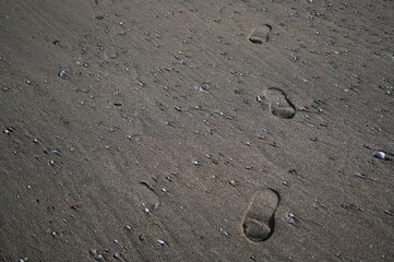 Texture of the ocean floor during low tide with sand, small stones and footprints. Natural abstract background perfect for design, patterns, and coastal themes