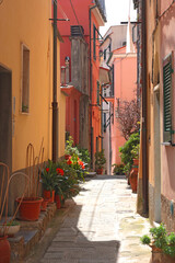 House and street in Liguria, Porto Venere. City buildings on sunny day. Travelling, Italy...