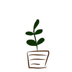 vector illustation green plant in a pot
