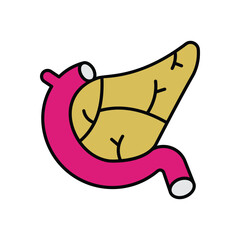Pancreas icon isolated on a white background. Vector illustration.