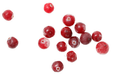 A bunch of frozen red berries