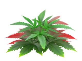 Vibrant green and red foliage cluster bright studio lighting. AI Generated