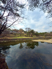 The quiet shadows and natural textures of hanok invite you into a space of peace and nostalgia.