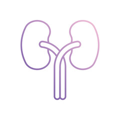 Kidneys icon isolated on a white background. Vector illustration.