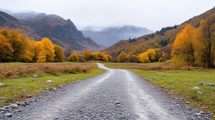 Autumnal mountain road through a valley.  A gravel road winds its way through a valley filled with vibrant autumn foliage.  Misty mountains rise in the background, creating a serene, picturesque scene