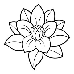 
Daffodil Flower Line Art Vector Illustration Outline