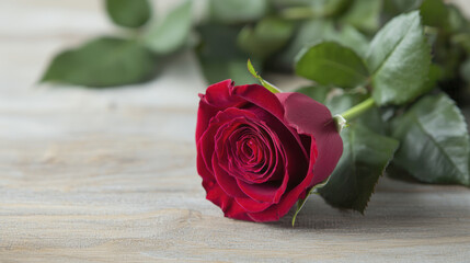 close up of red rose on wooden surface, showcasing its delicate petals and vibrant color