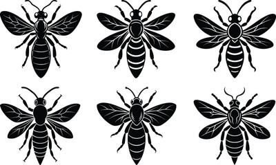 Wasp Silhouette vector