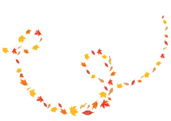 Falling autumn leaves wind spiral overlay. Maple, oak leaves realistic illustration isolated on white background. Design element, banner, cover for cards, posters, invitations, social media. 