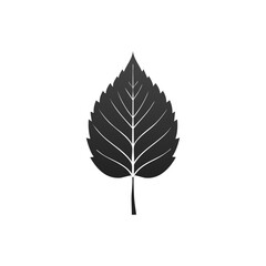 leaf silhouette vector