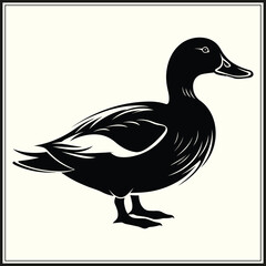 Duck Silhouette, Pond