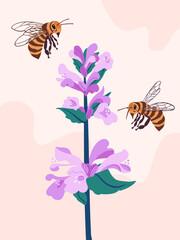 Bee collects honey from flower, flowers are honey plants, insect takes nectar.Vector illustration