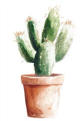 A watercolor painting depicts a green cactus plant in a terracotta pot