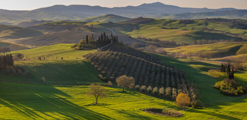Italy,Tuscany-Val d'Orcia: rolling hills among vineyards and medieval villages
