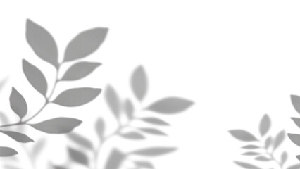 shadow overlay effects of realistic leaves and tree branch shadow on transparent png background,Summer sunlight and shadow overlay effect