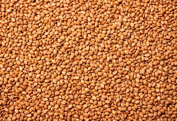 Fototapeta premium Red Lentils Food Background with Organic Texture and Color