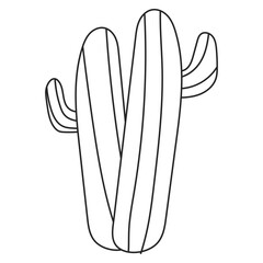 Abstract Cactus