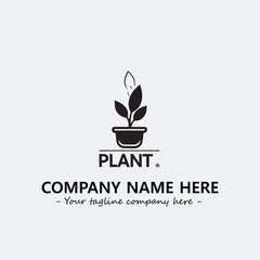 Plant illustration for logo company black and white vector image
