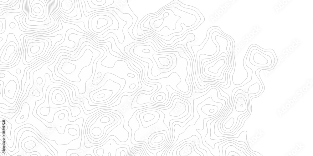 Poster abstract curve grid map and topo contour map on white background, topographic contour lines. seamles