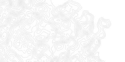 Abstract curve grid map and topo contour map on white background, Topographic contour lines. Seamless pattern with lines Topographic map. Geographic mountain relief diagram line wave carve design.	
